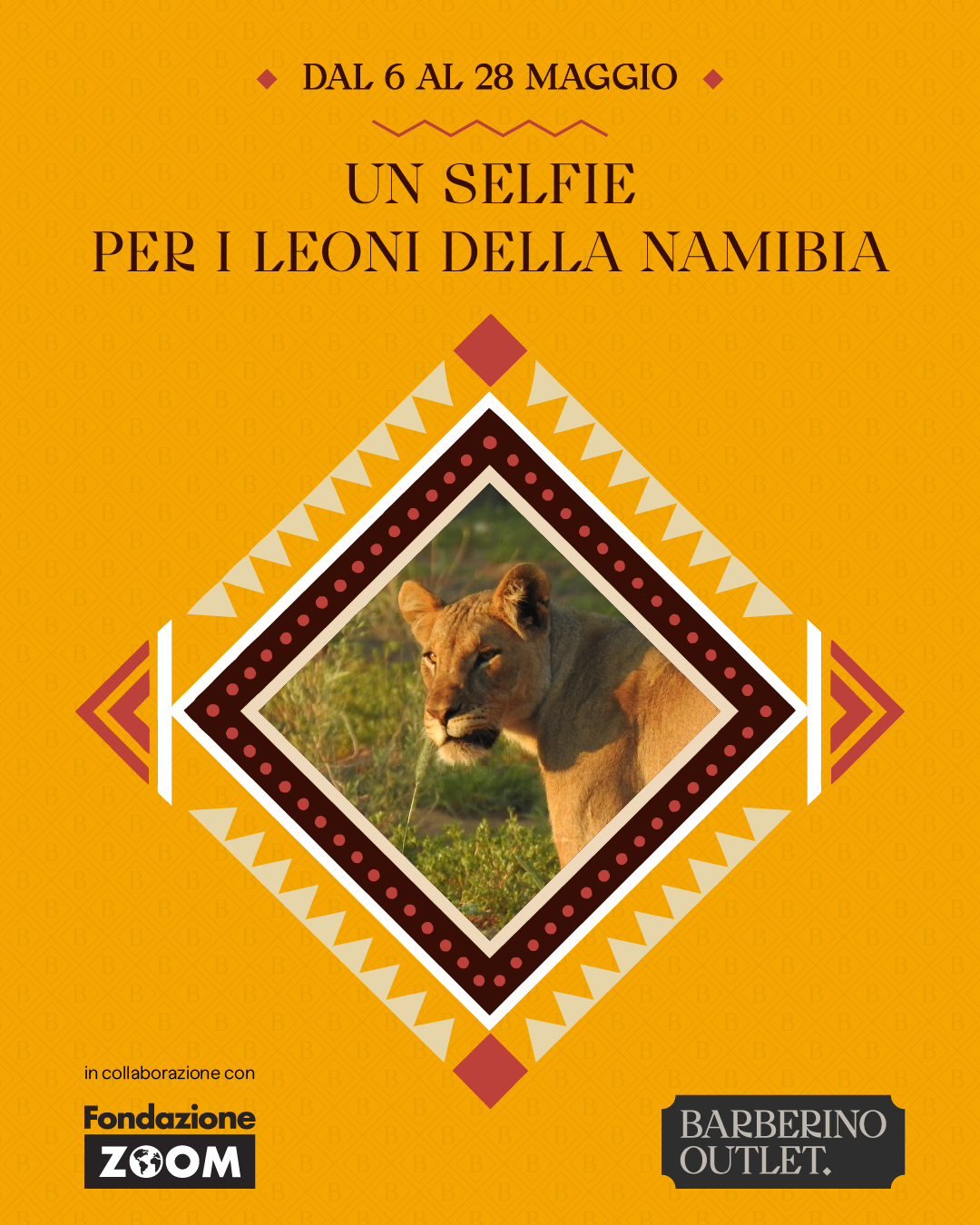 PER I LEONI DELLA NAMIBIA UN TAG CHE FA LA DIFFERENZA.