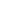 logo BRNM-MAN