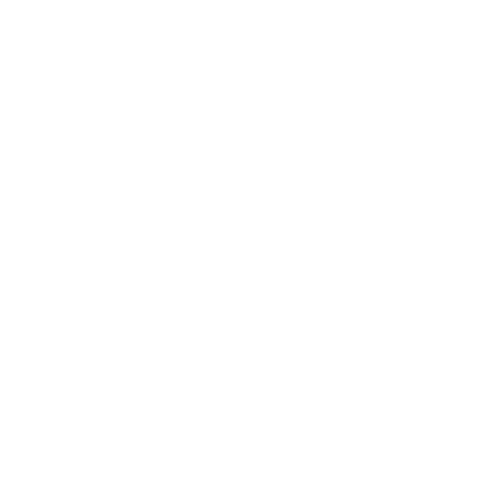 logo RALPH LAUREN