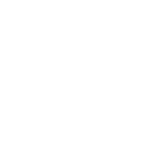 logo ADIDAS