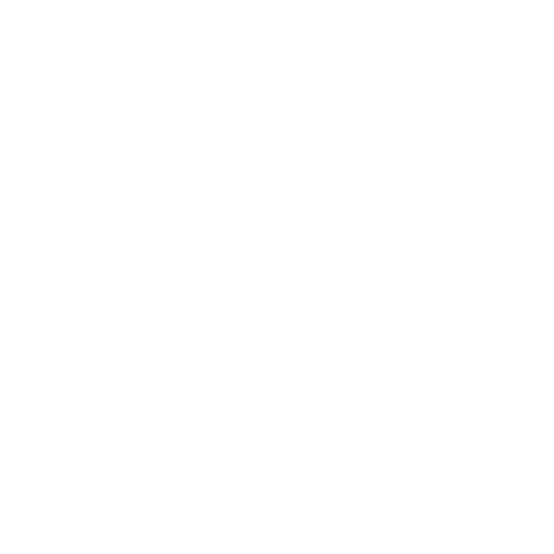 logo BIALETTI