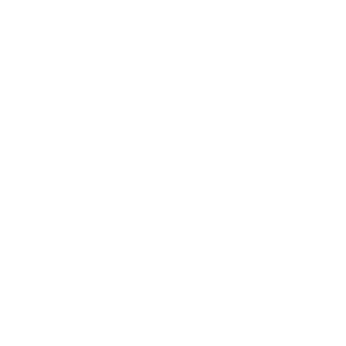 logo BOXEUR DES RUES - MALLOY