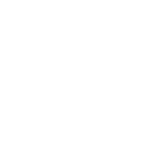 logo CAPELLO POINT