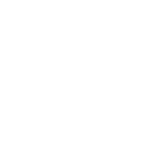 logo PARAGON