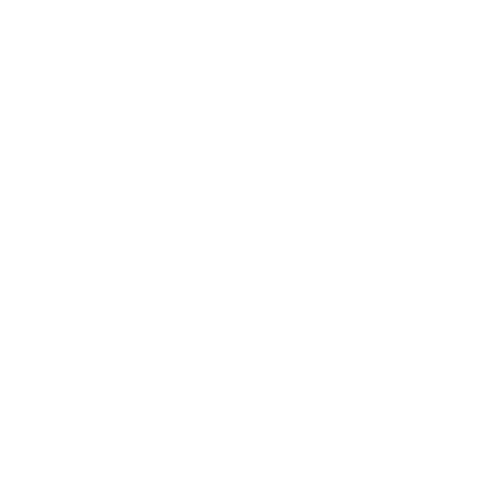 logo PINKO