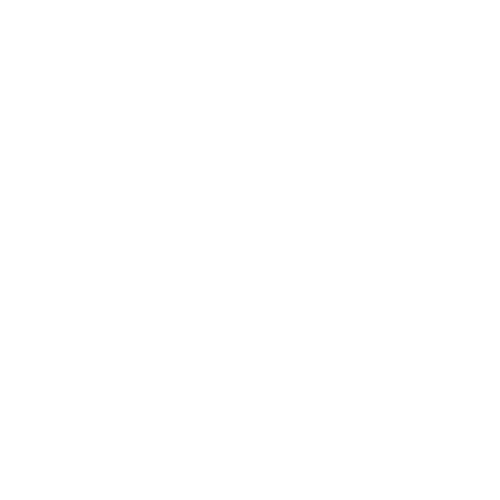 logo RALPH LAUREN