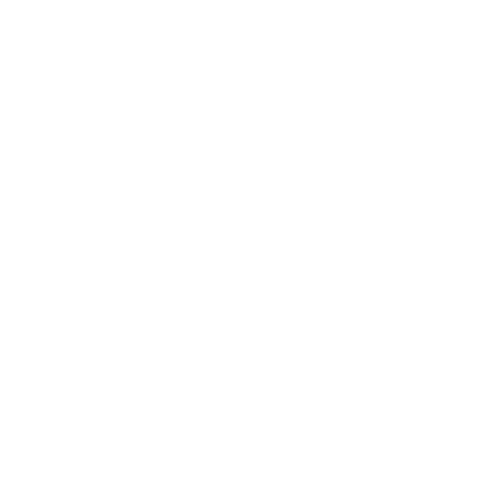 logo U.S.POLO ASSN.
