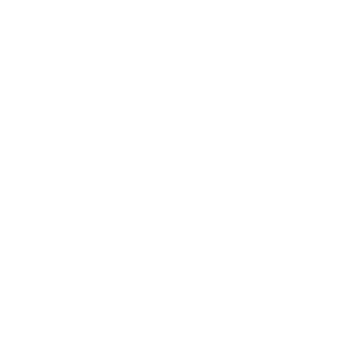 logo HAVAIANAS