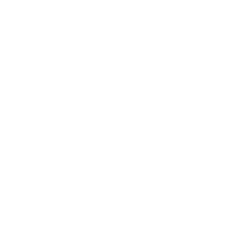 logo SALOMON
